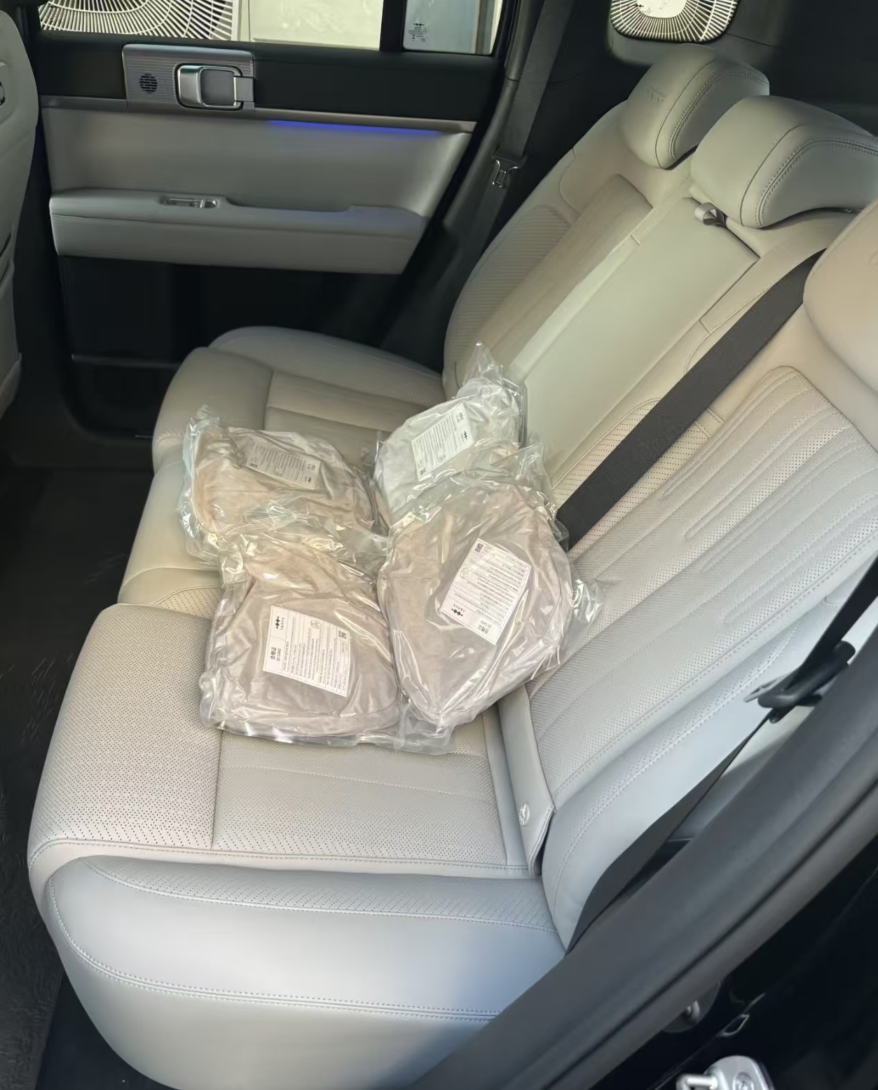 OEM hoofdsteun kussen voor Leo - Car Accessories Nearby recensie en prijs